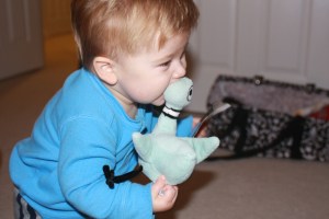 Luke (14 months old) and Pigeon